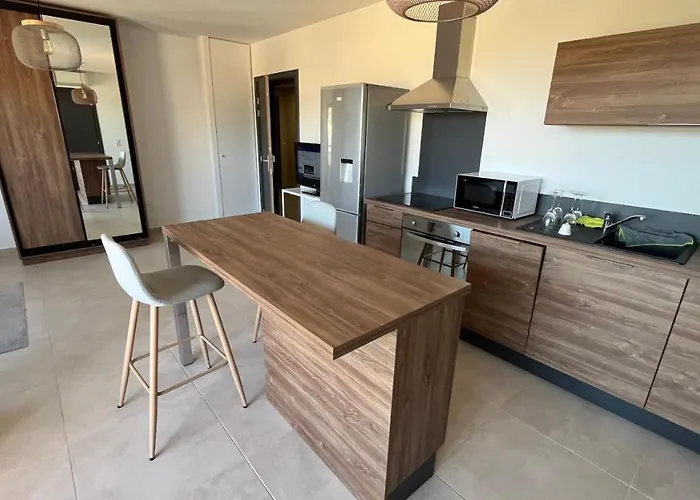 T1 Proche Aeroport Et Apartment